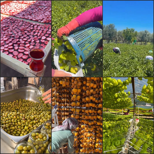 Sağlıklı Beslenmek Neden Bugün Her Zamankinden Daha Önemli ? | Likya Organic