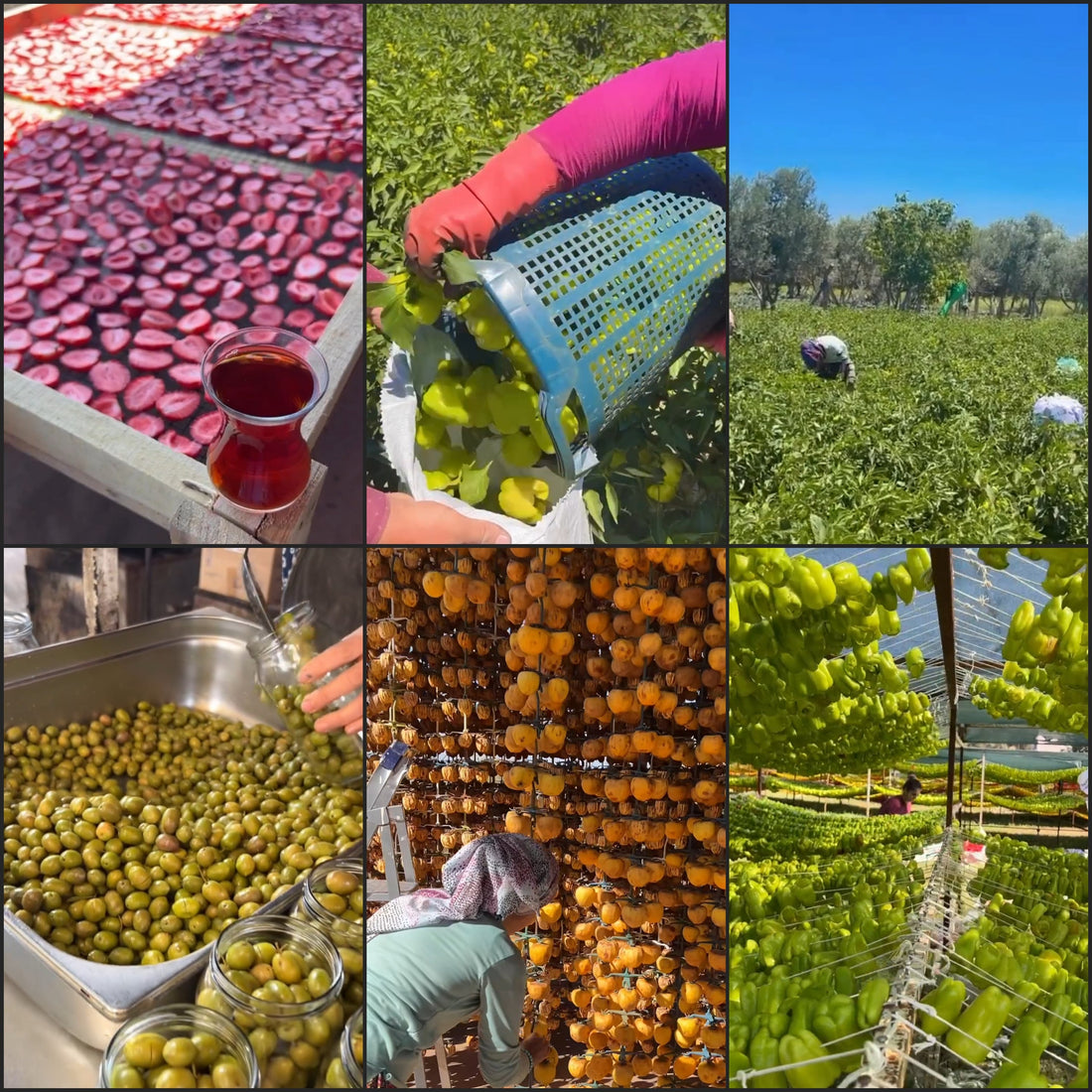 Sağlıklı Beslenmek Neden Bugün Her Zamankinden Daha Önemli ? | Likya Organic
