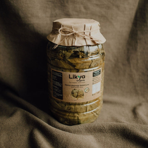 Weinblätter in Salzlake 5kg