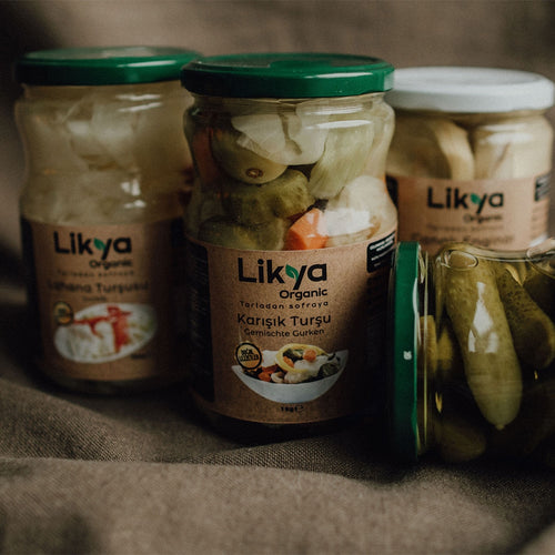 Gemischte Essiggurken