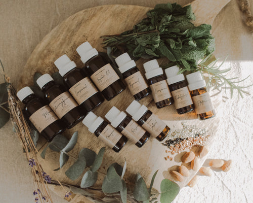 Eukalyptusöl - 10ml